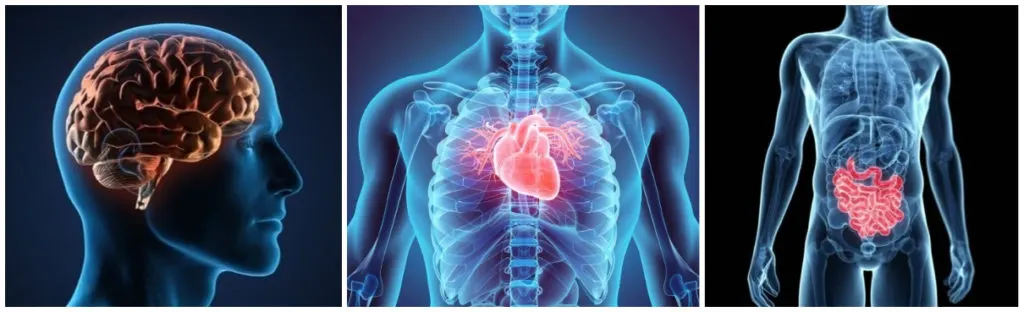 Expanse Therapy Bullez soin holistique Thuin